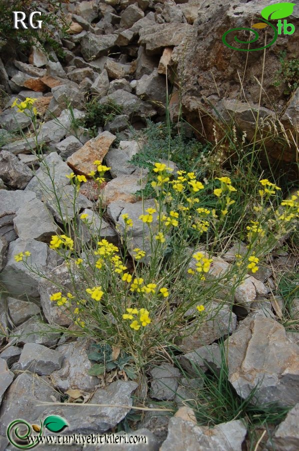 Aladağlar-Niğde