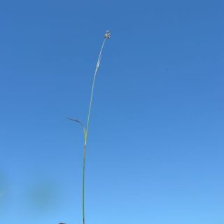 Datça-Muğla