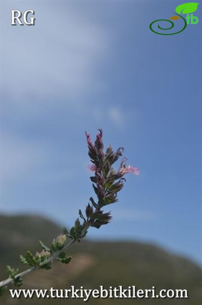 Datça-Muğla