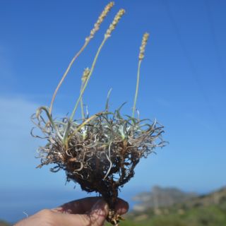 Datça-Muğla