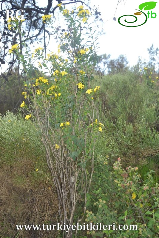 Datça-Muğla