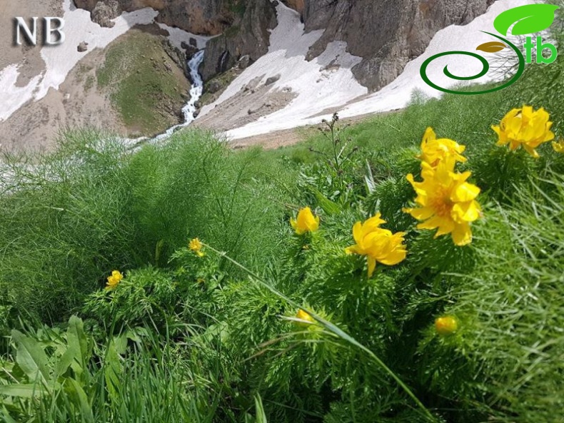 Tunceli