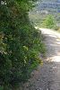 Datça-Muğla